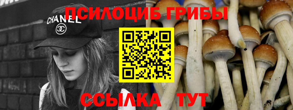 Псилоцибиновые грибы Cubensis  Вход с VPN  наркошоп  Галлюциногенные грибы Magic Shrooms  Бердск 
